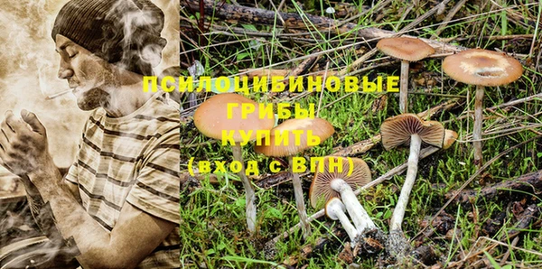 стаф Верхнеуральск